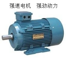 【廠家批發(fā)三相異步電動(dòng)機(jī)Y180L-6 15KW 系列電機(jī)國(guó)標(biāo) 全銅線】?jī)r(jià)格,廠家,圖片,其他電動(dòng)機(jī),臺(tái)州市強(qiáng)速電機(jī)制造-