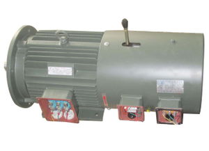 誰(shuí)見過(guò)這種電機(jī),哪個(gè)電機(jī)廠生產(chǎn)